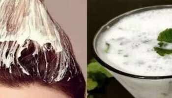 Hair Care: ഈ സാധനങ്ങൾ ഉപയോഗിക്കൂ; നല്ല ആരോഗ്യത്തോടെ മുടി വളരും