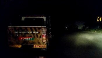 Tiger Spotted: വണ്ടിപെരിയാറിൽ വീണ്ടും കടുവയുടെ സാന്നിധ്യം 