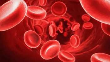 Hemoglobin count: ഹീമോ​ഗ്ലോബിന്റെ അളവ് വർധിപ്പിക്കും ഈ ഭക്ഷണങ്ങൾ