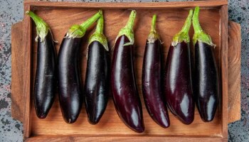 Brinjal: 5 മാരക രോ​ഗങ്ങൾക്കുള്ള ഔഷധം..! വഴുതനങ്ങയുടെ ​ഗുണങ്ങൾ അറിയൂ