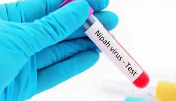 Nipah Virus : കോഴിക്കോട് രണ്ട് അസ്വാഭാവിക പനി മരണങ്ങൾ; നിപ സംശയമെന്ന് ആരോഗ്യ വകുപ്പ്