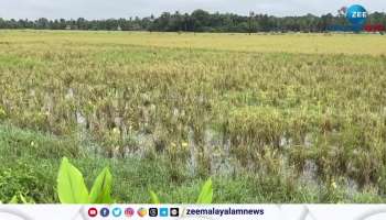  Farmers of Karumallur panchayat of Ernakulam district are in trouble as they have not been able to start cultivation even after three months of buying seeds for rice