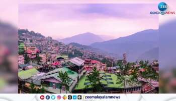Regulation of homestay transactions. Prohibition on Leasing and Tenancy to Third Party in Sikkim