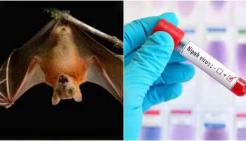 Nipah: കുടുംബ ചടങ്ങ് മുതൽ മസ്ജിദ് വരെ; നിപ ബാധിച്ച് മരിച്ചവരുടെ വിശദമായ റൂട്ട് മാപ്പ് പുറത്തുവിട്ടു