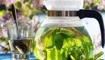 Mint Tea: ദിവസവും രാവിലെ പുതിനയില ചായ കുടിക്കാം; നിരവധിയാണ് ​ഗുണങ്ങൾ