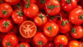 Health Benefits of Tomatoes: പുരുഷന്മാർക്ക് ഒരു സൂപ്പർഫുഡ് ആണ് തക്കാളി!! കാരണമറിയാമോ? 