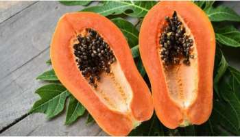 Papaya: തടി കുറയ്ക്കാൻ ഇനി ജിമ്മിൽ പോകണമെന്നില്ല; പപ്പായ ഉണ്ടല്ലോ..!