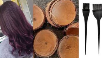 Natural Hair dye: നരച്ച മുടിക്ക് വിട...! ഈ കെമിക്കൽ ഫ്രീ ഓർഗാനിക് ഹെയർ ഡൈ വീട്ടിൽ ഉണ്ടാക്കൂ