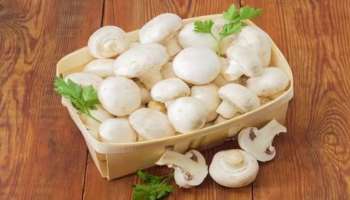 Mushroom: ആരോ​ഗ്യത്തിന് അത്യുത്തമം; അറിയാം കൂണിന്റെ ​ഗുണങ്ങൾ