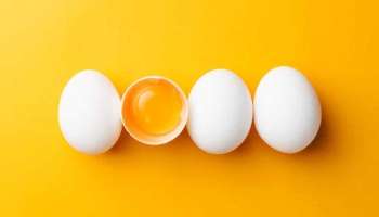Egg Side Effects: പ്രോട്ടീൻ സമ്പുഷ്ടമായ മുട്ട ആധികം കഴിച്ചാലോ?  