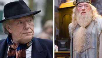 Michael Gambon Passed Away: പ്രശസ്ത ഹോളിവുഡ് നടൻ മൈക്കൽ ഗാംബൻ അന്തരിച്ചു!