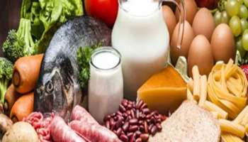 High Protein Foods: ദൈനംദിന ഭക്ഷണത്തിൽ ഉൾപ്പെടുത്തണം ഈ പ്രോട്ടീൻ സമ്പുഷ്ട ഭക്ഷണങ്ങൾ