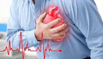 World Heart Day: ഹൃദയാഘാതവും ഹൃദയസ്തംഭനവും തമ്മിലുള്ള വ്യത്യാസം എന്ത്? ഹൃദയം അപകടത്തിലാണെന്നതിന്റെ മുന്നറിയിപ്പ് അടയാളങ്ങൾ ഇവ