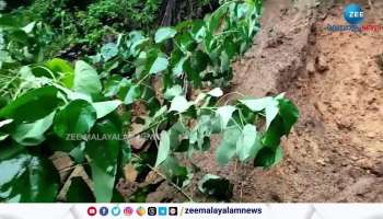 Thiruvananthapuram Nedumangad house damaged by landslide