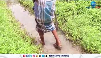 Heavy Rain In Kerala