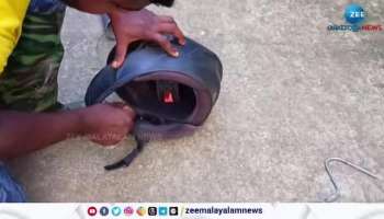 Viral News Cobra found inside helmet in Thrissur