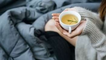 Herbal Tea For Sleep: ശാന്തമായ ഉറക്കത്തിന് ഹെർബൽ ടീ; ഉറങ്ങുന്നതിന് മുൻപ് കഴിക്കാം ഈ പാനീയങ്ങൾ