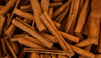 Cinnamon Benefits: പ്രമേഹം മുതൽ തടി കുറയ്ക്കൽ വരെ, കറുവാപ്പട്ടയുടെ ഗുണങ്ങൾ