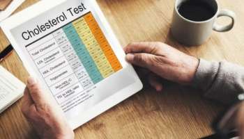 Cholesterol: എച്ച്ഡിഎൽ കൊളസ്ട്രോൾ വർധിപ്പിക്കാം; ഈ ഭക്ഷണങ്ങൾ കഴിക്കൂ