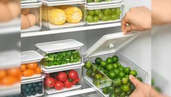 Refrigerator: റഫ്രിജറേറ്ററിൽ വെച്ച ഭക്ഷണം കേടാകാറുണ്ടോ?; ഇക്കാര്യങ്ങൾ അറിഞ്ഞിരിക്കണം! 