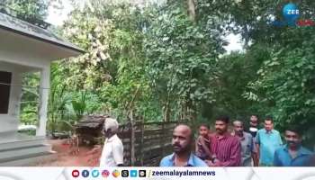 Wild Elephants destroying crops in kothamangalam