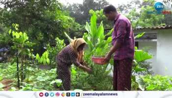 Kothamangalam couples farming