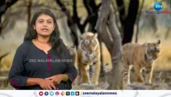 Insurance cover for tourists visiting tiger reserves in Karnataka
