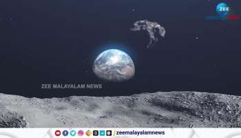Which Is World First Animal Makes Travel To Moon