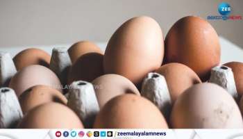 Egg Shortage in South Africa