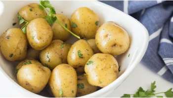 Potato: ഉരുളക്കിഴങ്ങ് അമിതമായി കഴിക്കുന്നത് അത്ര നല്ലതല്ല; പാർശ്വഫലങ്ങൾ അറിഞ്ഞിരിക്കണം