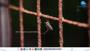 Killing Mosquitoes a Sin in Bhutan