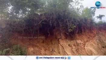 Forest department did not remove the felled tree on Nedunkandam - Kavunthi road