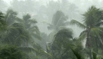 Kerala Rain Update: അറബിക്കടലിൽ ന്യൂനമർദ്ദ സാധ്യത; കേരളത്തിൽ അടുത്ത 5 ദിവസവും മഴ