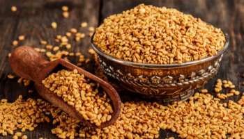 Fenugreek: ഉലുവ നിസാരക്കാരനല്ല: ഈ ആരോഗ്യ ഗുണങ്ങൾ ഉറപ്പ്..!