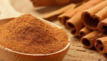 Cinnamon Benefits: PCOS മുതൽ ശരീരഭാരം കുറയ്ക്കൽ വരെ..! കറുവപ്പട്ടയുടെ അതിശയിപ്പിക്കും ​ഗുണങ്ങൾ