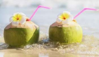 Coconut Water Benefits: നാളികേര വെള്ളം ദിവസവും കുടിച്ചാൽ ശരീരത്തിനുണ്ടാകുന്ന മാറ്റങ്ങൾ ഇവയാണ്