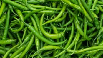 Green Chilli: പച്ചമുളക് വാങ്ങിച്ചാൽ പെട്ടെന്ന് കേടായി പോകുന്നോ..? ഈ രീതിയിൽ സൂക്ഷിച്ചാൽ മതി