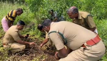 Wild Animal Attack: ഇടുക്കി വാഴവരയിൽ വീണ്ടും വന്യജീവിയുടെ സാന്നിധ്യം; വളർത്തുനായയെ കൊന്ന് ഭക്ഷിച്ചു