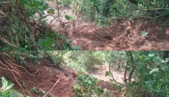 Landslide: ഇടുക്കി നെടുങ്കണ്ടത്ത് ഉരുൾപൊട്ടൽ; ഒരേക്കറോളം കൃഷിയിടം ഒലിച്ചുപോയി