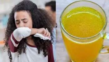 Cough Home Remedies: ജലദോഷവും ചുമയും പമ്പ കടക്കും! അടഞ്ഞ മൂക്ക് ഞൊടിയിടയില്‍ തുറക്കും! അറിയാം ചില വീട്ടുവൈദ്യങ്ങള്‍ 