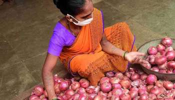 Onion Price Hike: ഉത്സവകാലം എത്തിയതോടെ ഉള്ളി, സവാള വില കുതിയ്ക്കുന്നു