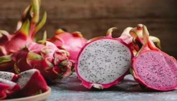 Dragon Fruit: രോഗങ്ങളെ അകറ്റി നിർത്തണ്ടേ? എങ്കിൽ ഇനി കഴിക്കൂ ഡ്രാഗൺ ഫ്രൂട്ട്..!