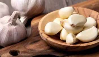 Garlic: വെളുത്തുള്ളി ചില്ലറക്കാരനല്ല; ഈ ആരോഗ്യ ഗുണങ്ങൾ അറിഞ്ഞിരിക്കണം