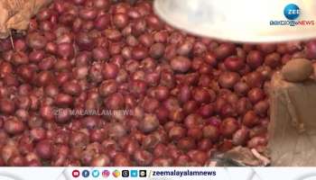 Onion india price 
