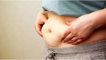 Belly Fat: നയാപൈസ ചിലവില്ലാതെ ബെല്ലി ഫാറ്റ് കുറയ്ക്കാം: വെറും 15 ദിവസത്തിനുള്ളില്‍!