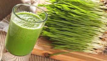 Wheat Grass Benefits: പ്രമേഹം നിയന്ത്രിക്കാം, വീറ്റ് ഗ്രാസിനുണ്ട് അതിശയകരമായ ഗുണങ്ങള്‍  