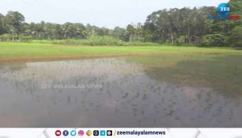 Kothamangalam rain