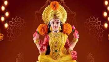 Dhanteras 2023: ധൻതേരസ് ദിനത്തിൽ ലക്ഷ്മി ദേവിയെ ആരാധിക്കുമ്പോൾ പാലിക്കേണ്ട കാര്യങ്ങളും ചെയ്യരുതാത്തതും