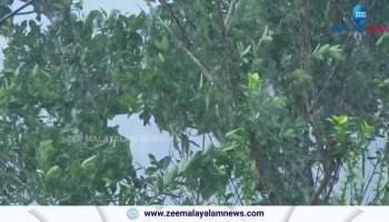 Kerala Rain Alert expecting heavy waves in kerala shores