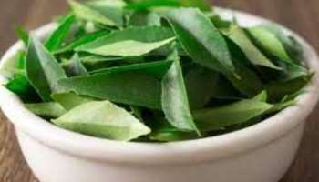 Health Benefits Of Curry Leaves: കറിവേപ്പില കളയേണ്ട.. ഗുണങ്ങൾ ഏറെ, അറിയാം